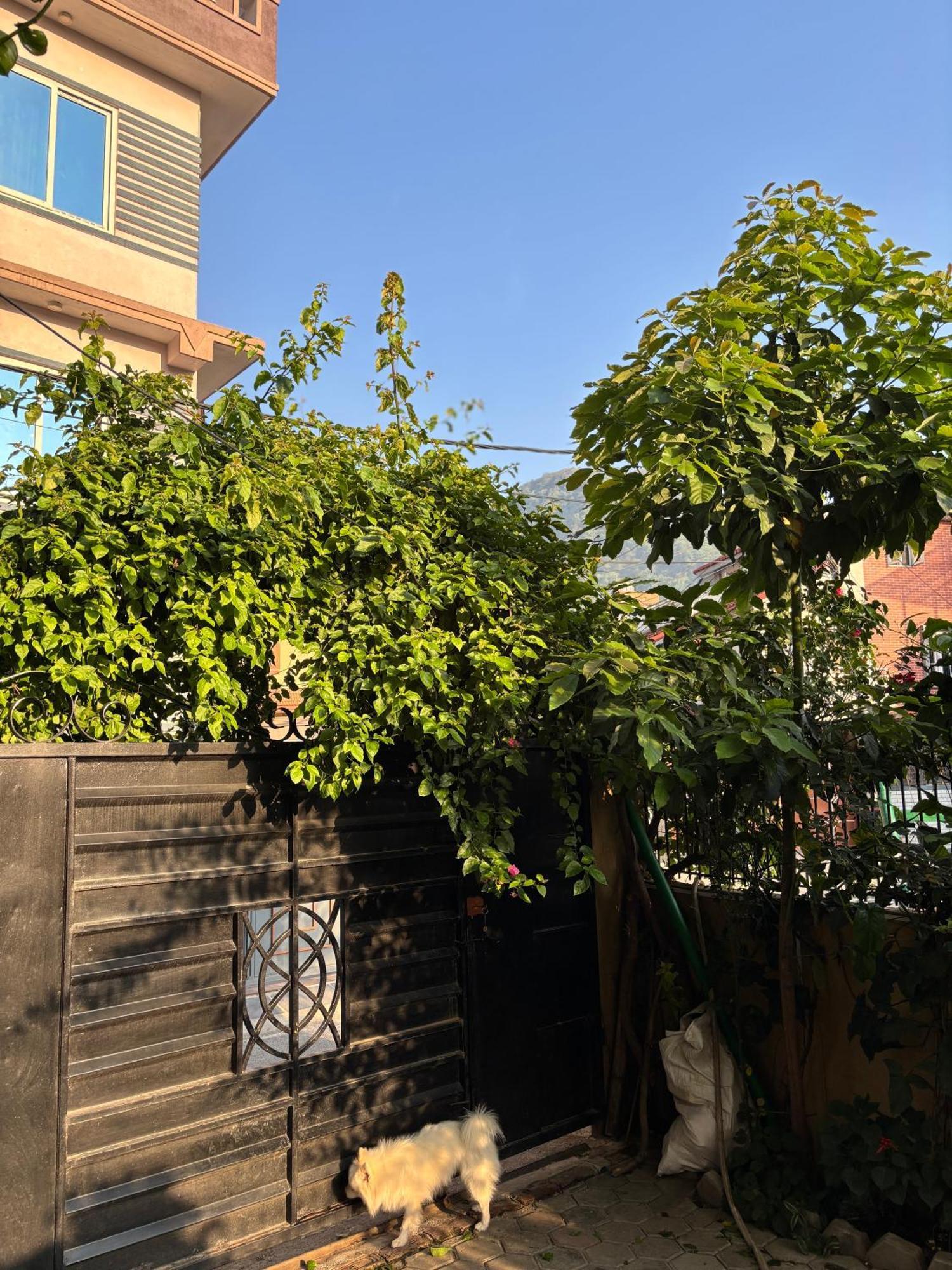 Mums Homestay & Studio Apartments Kathmandu Exterior photo