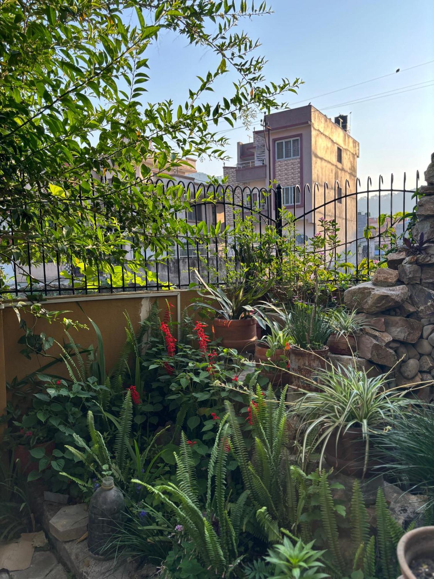 Mums Homestay & Studio Apartments Kathmandu Exterior photo